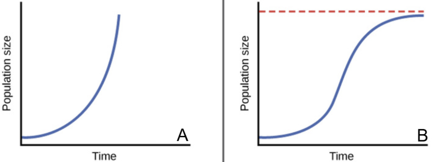 <p>Graph A indicates _________ growth. </p><p>Graph B indicates _________ growth. </p>