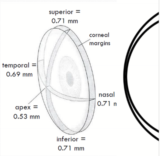 <p>It is thinner at the central cornea (250-300 lamellae) vs the peripheral cornea (500 lamellae)</p>