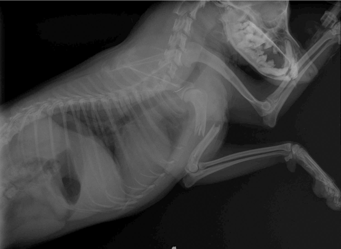 <p>what condition is this?</p>
