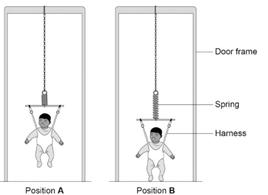 <p>A baby bouncer is a harness attached to a spring that hangs from a door frame. </p><p>The figure shows a baby in a baby bouncer in two positions.</p><p>The baby bouncer should not be used with babies that have a mass greater than 12 kg. </p><p>Suggest one reason why.</p>