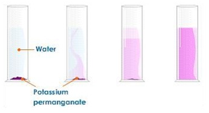 <p>dissolving potassium manganate(VII) in water demonstrates that the diffusion in liquids is very slow because there are only small gaps between the liquid particles into which other particles diffuse.</p><p>the random motion of particles cause the purple colour to eventually be evenly spread out throughout the water.</p><p>adding more water to the solution causes the potassium manganate(VII) particles to spread out further apart therefore the solutions becomes less purple. this is called dilution.</p>