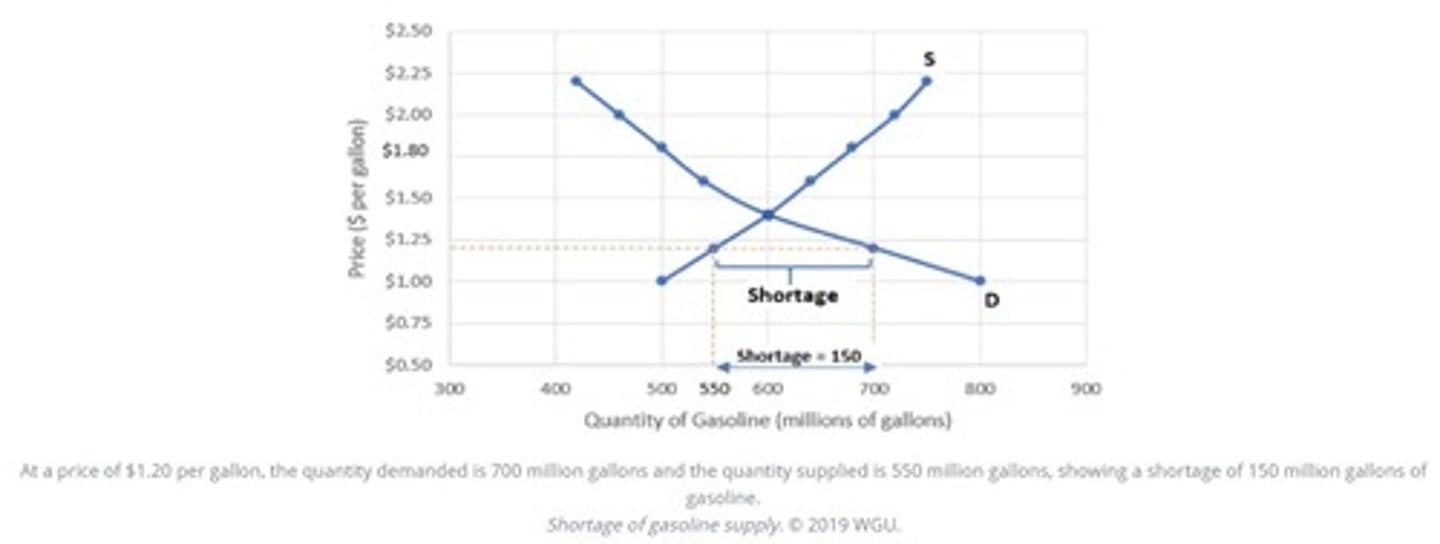 <p>A situation in which quantity demanded is greater than quantity supplied; occurs when the market price is less than the equilibrium price.</p>