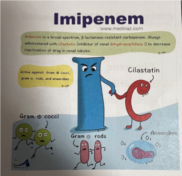 <p>Imipenem</p>
