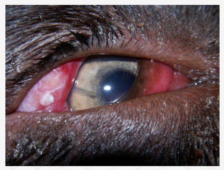 <p>what is this?</p>