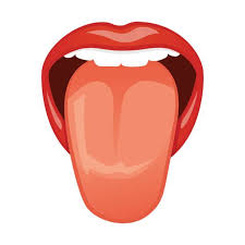 <p>to<strong><u>ngue</u></strong></p><p>tongue is also at back of throat/up in palate when we make the sound</p><p>: “ngg”</p><p>si<strong><u>ŋ</u></strong>- sing</p><p>sa<strong><u>ŋ</u></strong> - sang </p><p>su<strong><u>ŋ </u></strong>- sung </p>