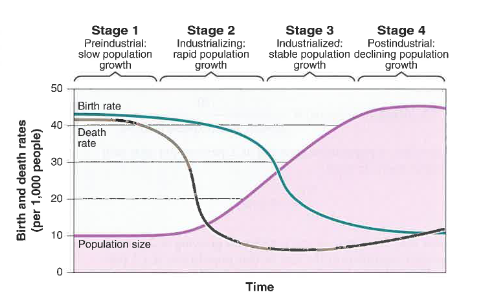 <p><strong>D, slow growth, rapid growth, stable growth, declining growth</strong>; this is correct because according to the stages of demographic transition depicted in this image, population growth is very slow in the pre-industrial stage, but begins to grow quickly in the industrializing stage. then, there is stable growth in the industrialized stage, and then finally declining growth in the postindustrial stage</p>