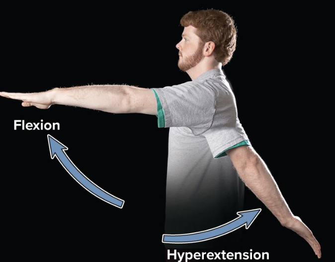 <p>hyperextension</p>