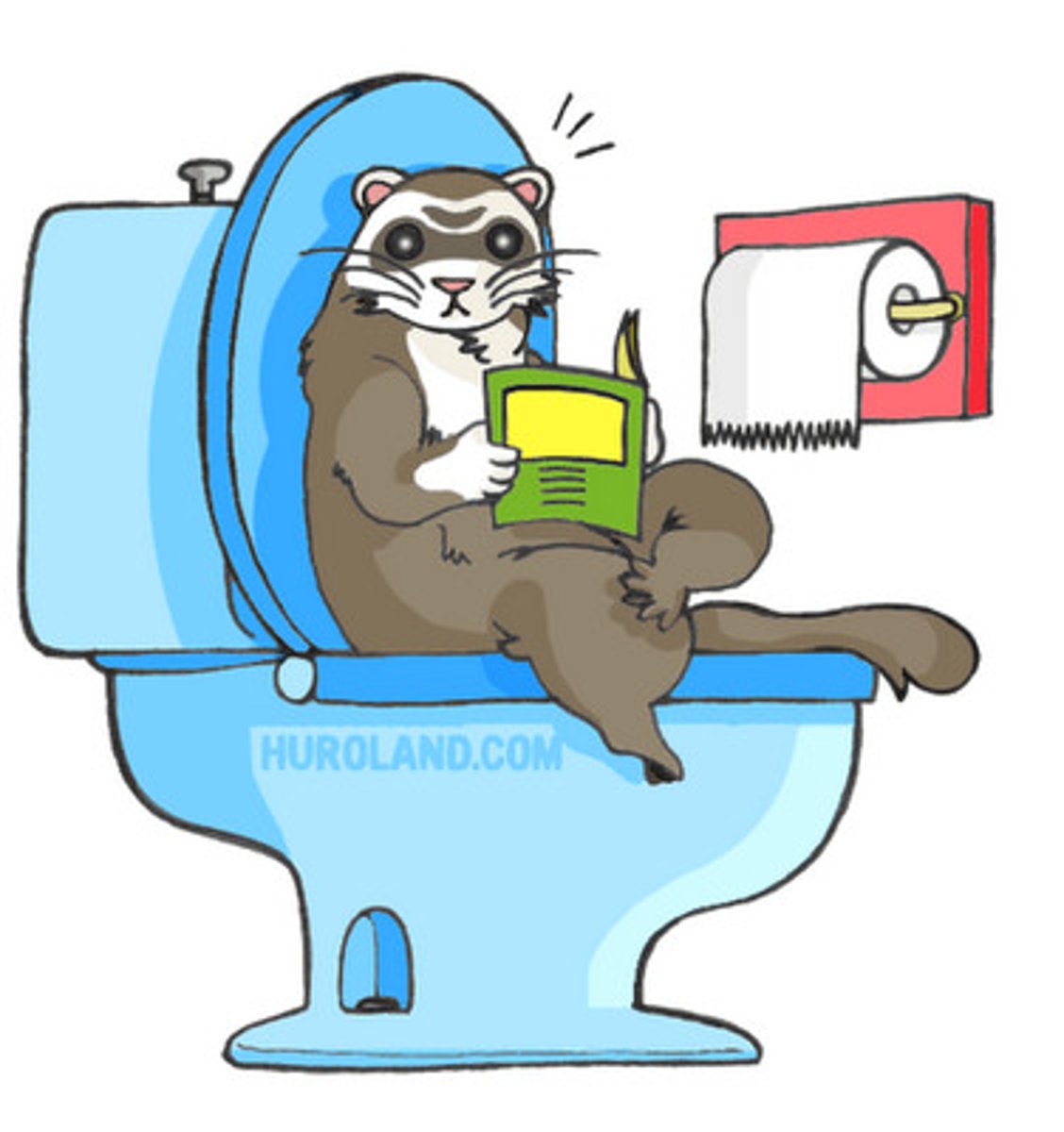 <p>The removal of food that has not been digested or absorbed</p>