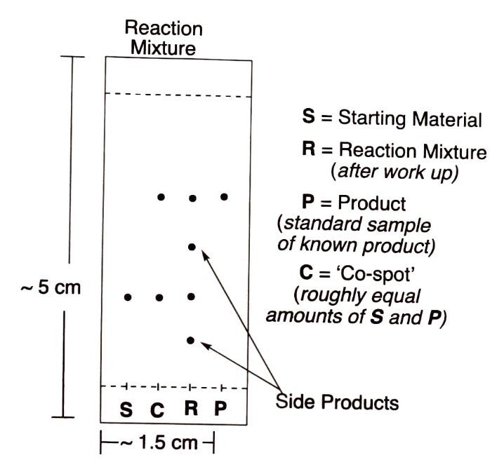 <p>From the analysis of a reaction that is meant to convert a starting material to product, a co- spot of S and P is included (Lane C) as well as a lane to analyze the reaction mixture (Lane R). What is observed in Lane R is that there is the production of spots with an identical R<sub>f</sub> for the individual starting material and product and two additional "side products.”</p>