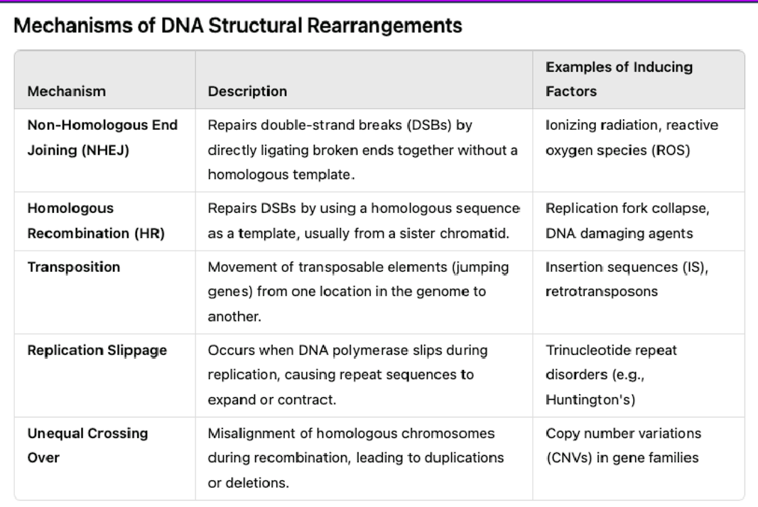 <p>non-homologous end joining (NHEJ)</p><p>homologous recombination (HR)</p><p>transposition</p><p>replication slippage</p><p>unequal crossing over</p>