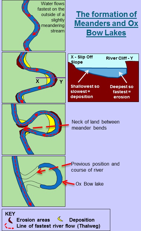 <p>1 slight irregularities in the riverbed and banks create small bends in the river these bends disrupt the flow and trrigger the development of helicoidal flow, that shifts the thawleg1 A single curving river channel, typically found in the middle and lower course of a river.1 A single curving river channel, typically found in the middle and lower course of a river.</p><p>2 as the river adjusts to these bends it begins to develop a repeating riffle-pool sequence </p><p>3 the outside banks erode due to the thawleg and helicoidal flow hittting it directly while the inside banks deposit sediment.</p><p>4 over time erosion on the outer and band and depostion on the inner bank widen the meander bends.</p>
