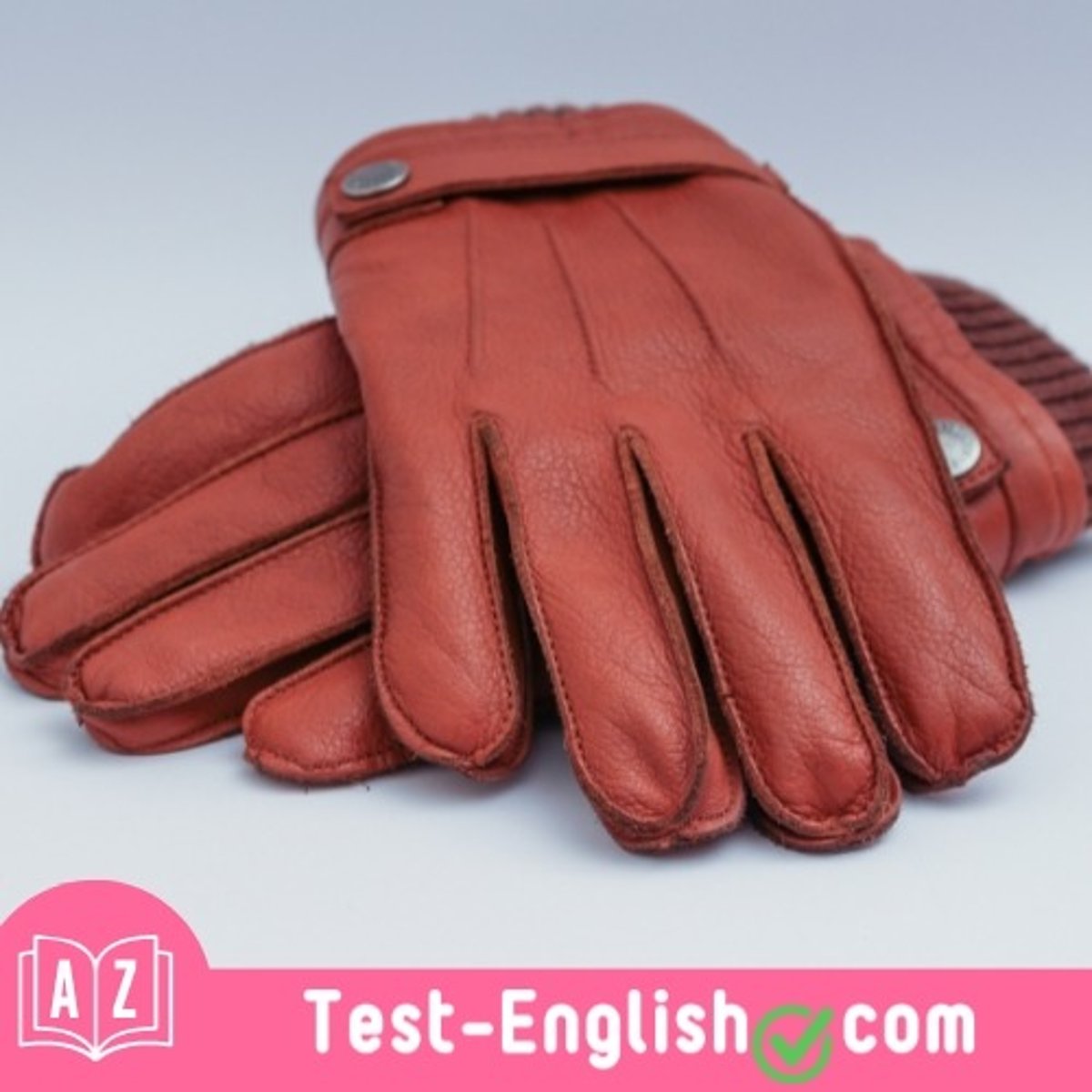 <p>I wore _____ to keep my hands warm in the snow.</p>