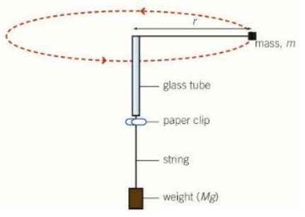 <p>(mv^2)/r = Mg<br />
where m is the mass of the object subjected to circular motion (the bung)<br />
v is the speed of the circular motion<br />
r is the length of string forming the radius of the circle (from the bung to the top of the glass tube)<br />
M is the mass of the weight that provides the tension in the string, providing the centripetal force<br />
and g is gravity</p>