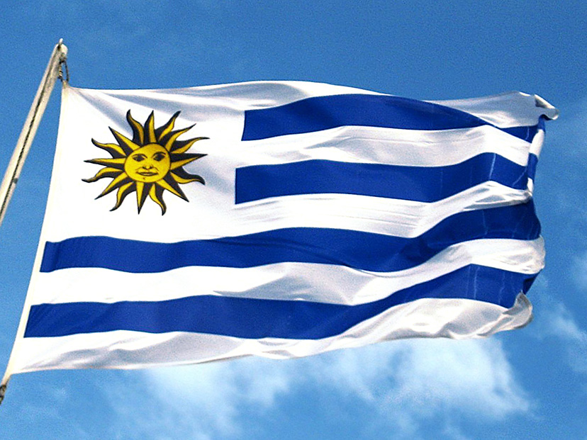 <p>Uruguayo/a</p>
