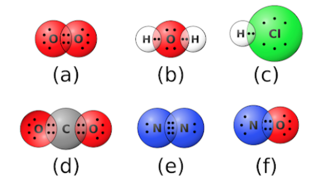 <p>Which of the following molecules has two single covalent bonds?</p><p></p><ol><li><p>a</p></li><li><p>b</p></li><li><p>c</p></li><li><p>d</p></li><li><p>e</p></li><li><p>f</p></li></ol>