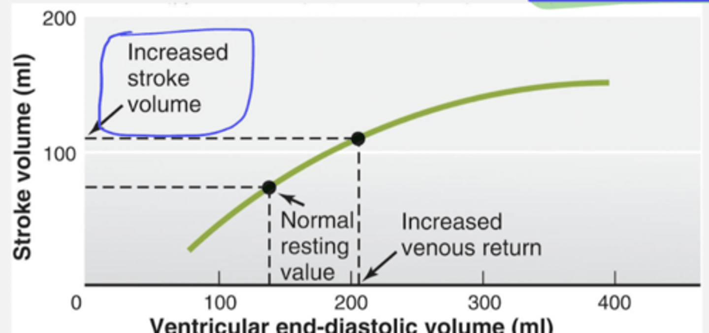 <p>the stretched ventricular walls recoil back to their resting position with greater force.This phenomenon is called the</p>