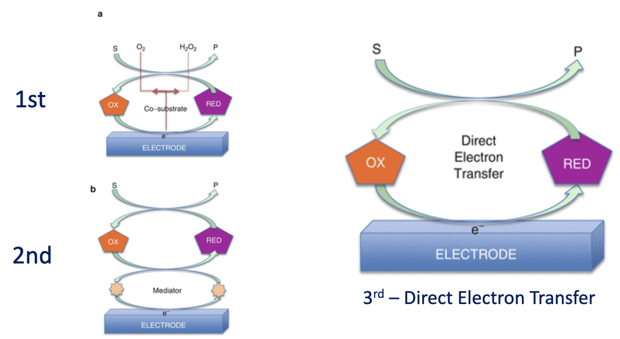 <ol><li><p>No direct connection between enzyme and electrode. Measures end product of substrate conversion eg H<sub>2</sub>O<sub>2</sub></p></li><li><p>The use of a mediator (eg ferrocyanide) to link active site to electrode surface</p></li><li><p>Direct electron transfer between enzyme and electrode surface</p></li></ol><p></p>