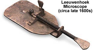<ul><li><p>1674</p></li><li><p>Improved the microscope (single lense design)</p></li><li><p>First to see living cells —&gt; called them “animalcules”</p></li></ul><p></p>