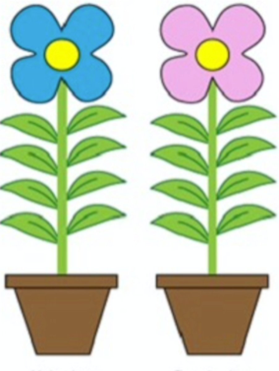 <p>2 houses (different male and female plants)</p>