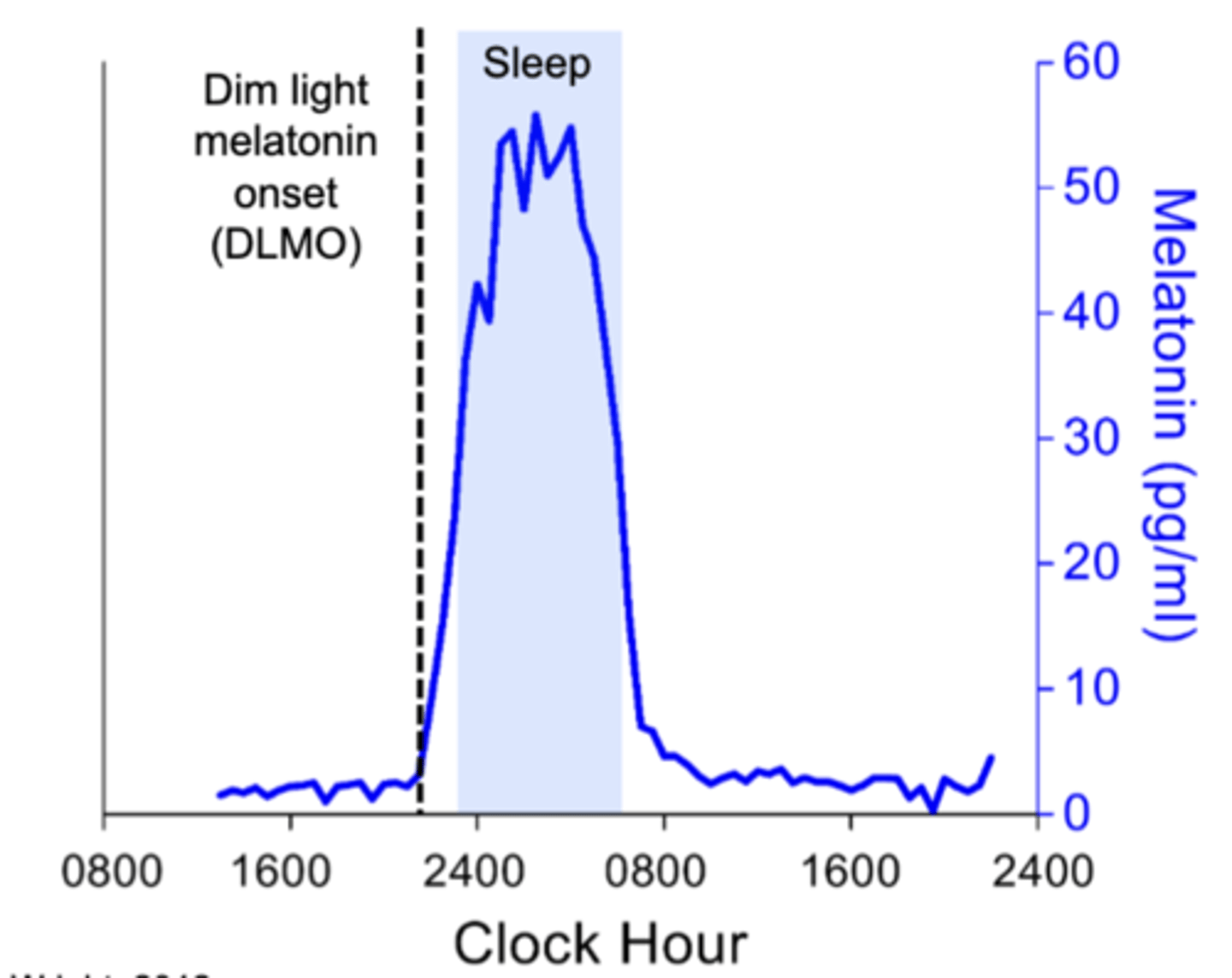 <p>Describe 24-hour rhythms and multiple processes that keep us in sync with the light/dark cycle</p><p>Allow us to anticipate changes in our environment rather than respond passively</p><p>the circadian rhythm of melatonin: Low during daytime, have a peak over night</p><p>To measure circadian rhythm: measure the time we see the steep rise of melatonin levels</p>