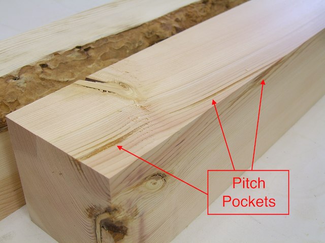 <p>Filled with Sap</p>