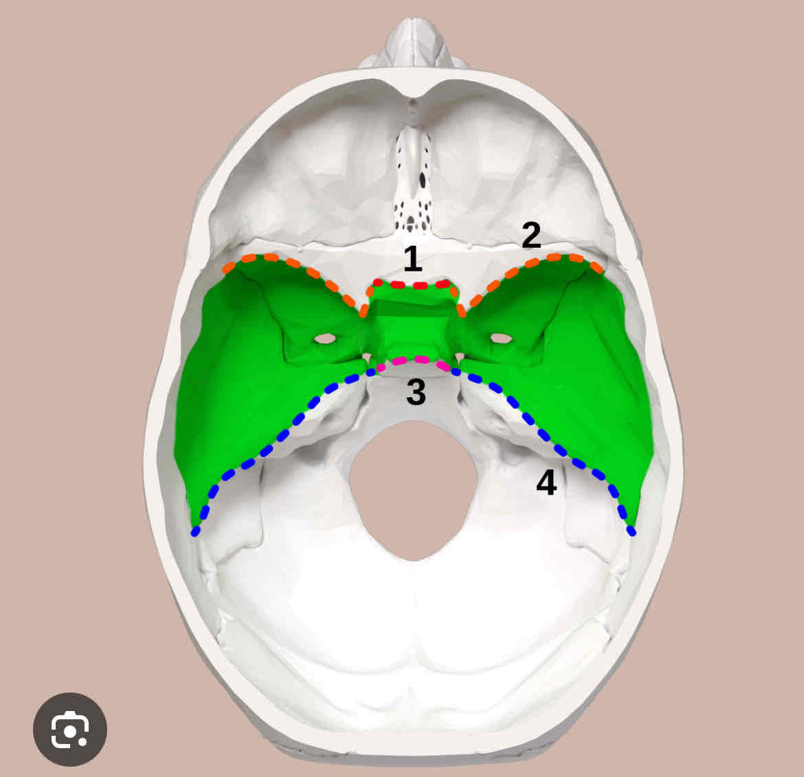 knowt flashcard image
