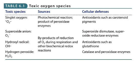 <p><span>impact of O2 respiration on a cell depends on a cell’s available defenses</span></p>