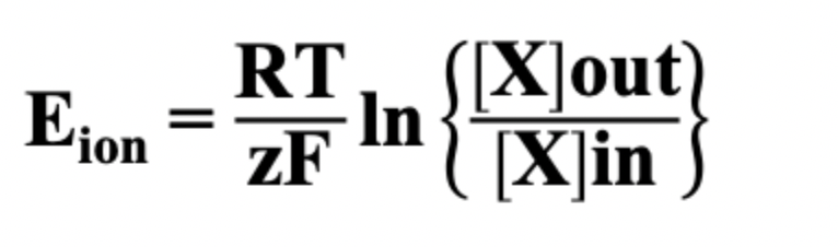 <p>Eion = electrical potential that counteracts conc gradient for the ion</p><p>= equilibrium potential</p><p>R= 8.314</p><p>T= temp in K ( degrees+273)</p><p>Z= charge of ion</p><p>F= 96485</p><p>[X] = ion conc</p><p></p><p>^^ may not be tested just understand</p>