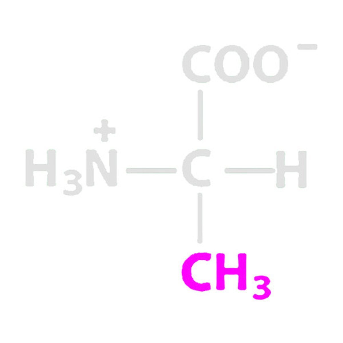 <p>List the R-group property for Alanine</p>