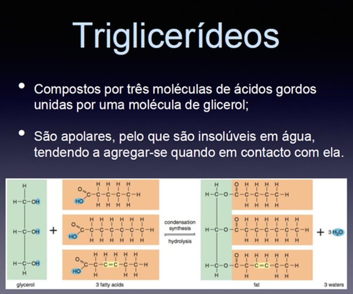 <p>e) Estão envolvidas reacções de hidrólise</p>