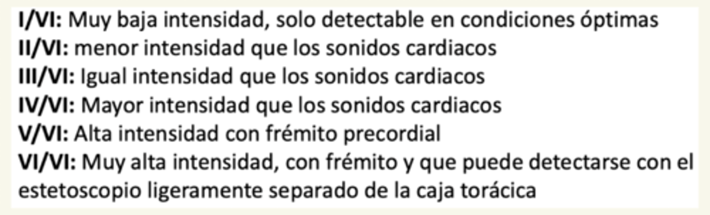 <p>IV</p><p>V y VI: + frémito</p>