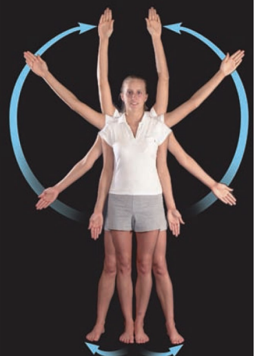 <p>moving away from the core of body (part)</p>