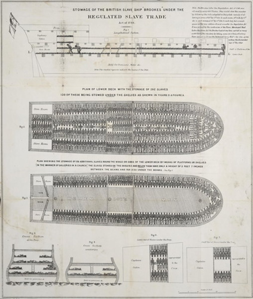 <p>Stowage of the British Slave Ship</p>