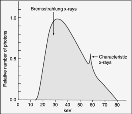 <p>Binding Energy Review</p><ul><li><p>Bound particles always have a <span><strong>[positive or negative]</strong></span>&nbsp;potential energy</p></li><li><p>To free electron from an atom, energy must be raised to zero or a positive value&nbsp;</p></li></ul><p></p>