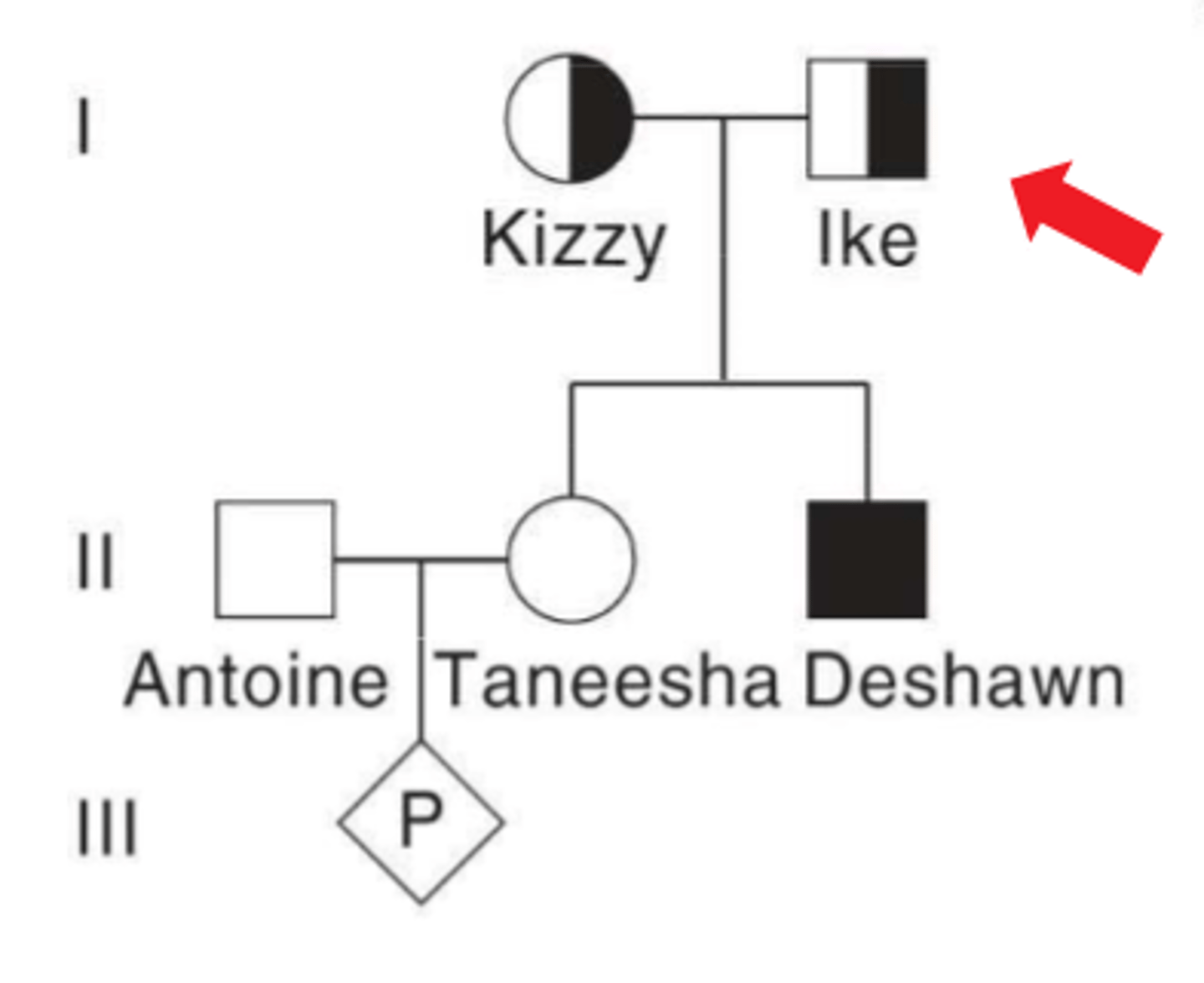 <p>What are the chances Taneesha's child may inherited the affected allele?</p>