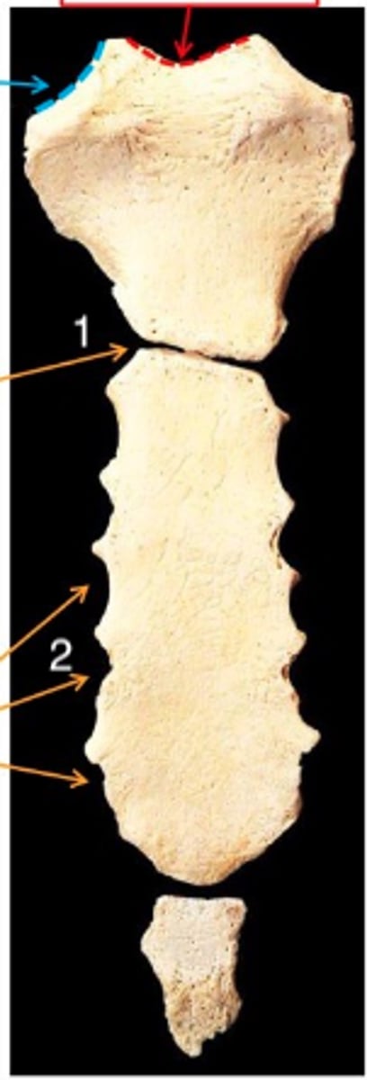 knowt flashcard image