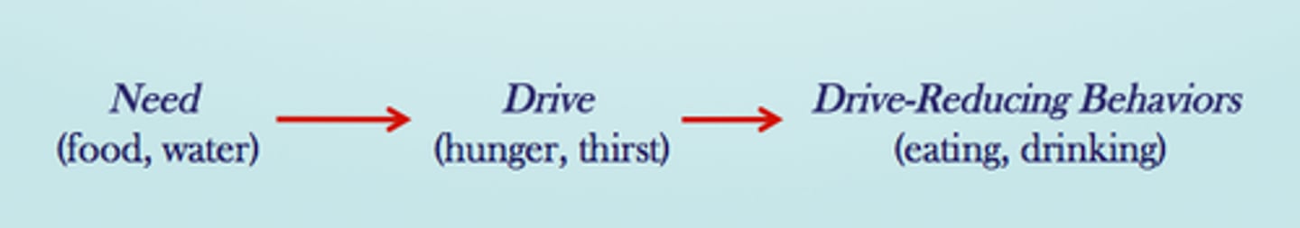 <p>states that motivation comes from biological needs or drives that cause people to act in ways that restore balance</p>