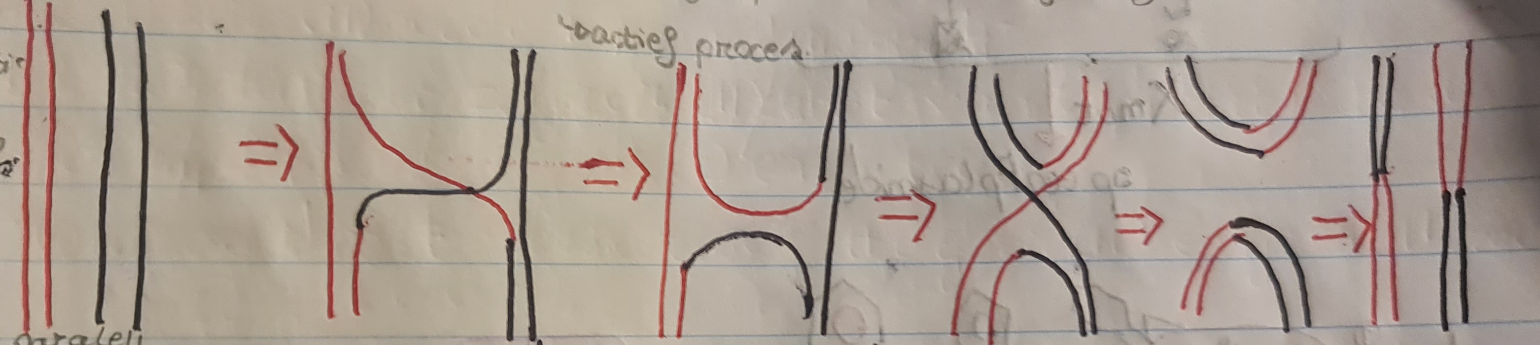 <ol><li><p>nick vermon en streng overbrengen en dan hybridiseren</p></li><li><p>draaing streng rechts 180°</p></li><li><p>draaing zodat de onderste benen elkaars plaats innemen</p></li><li><p>nicks en dan ligeren</p></li></ol><p>een vreemd dna komt in bacterie zonder dat het gerepliceerd word om te inegreren in genoom of plasmide, dit is een actief proces</p><ul><li><p>je kan fplasmide hiermee in genoom integreren</p></li><li><p>komt vaak voor bij meiose</p></li><li><p>zowel pro als eukarjoot</p></li><li><p>moet enige sequentiegelijkenis zijn</p></li></ul><p></p>