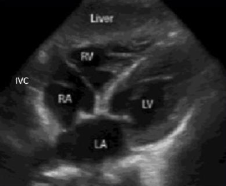 <p>what view is this</p>