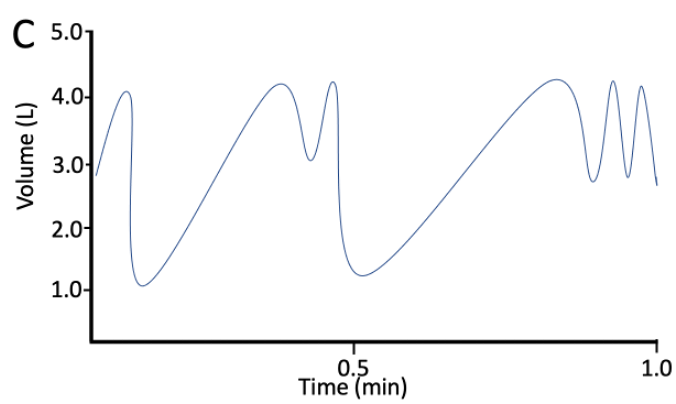 <p>C</p>