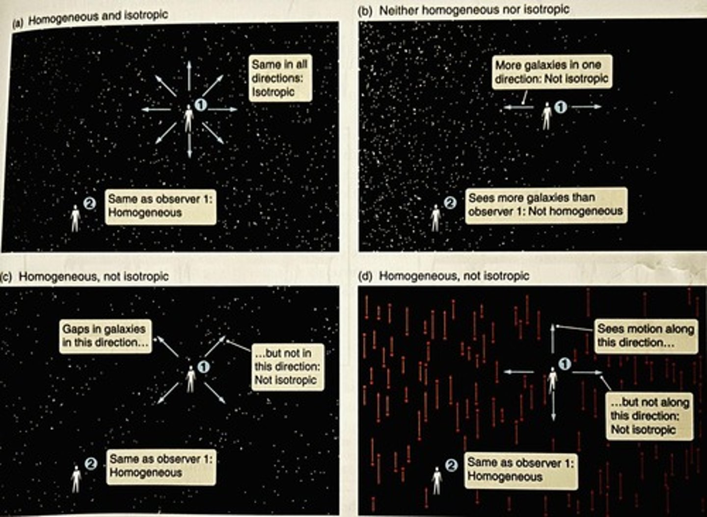 <p>The cosmological principle, which states that the physical laws that apply to one part of the universe apply everywhere.</p>