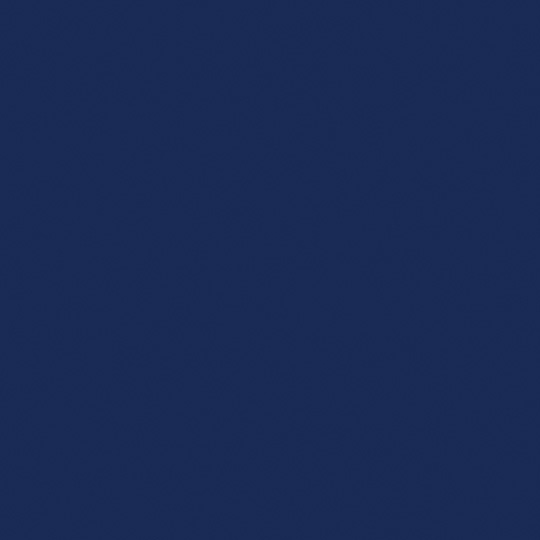 <p>Navy Blue</p>