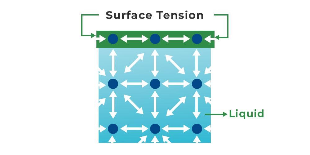<p><span style="background-color: inherit; line-height: 18px; color: windowtext;"><span>. Is a special example of cohesion</span></span><span style="line-height: 18px; color: windowtext;"><span>&nbsp;</span></span></p><p class="Paragraph SCXO76693003 BCX0" style="text-align: left;"><span style="background-color: inherit; line-height: 18px; color: windowtext;"><span>. Is a force that acts on the particles at the surface of a liquid</span></span><span style="line-height: 18px; color: windowtext;"><span>&nbsp;</span></span></p><p class="Paragraph SCXO76693003 BCX0" style="text-align: left;"><span style="background-color: inherit; line-height: 18px; color: windowtext;"><span>. Is the tightness across the surface of water that is caused by polar molecules pulling on each other</span></span><span style="line-height: 18px; color: windowtext;"><span>&nbsp;</span></span></p><p class="Paragraph SCXO76693003 BCX0" style="text-align: left;"><span style="background-color: inherit; line-height: 18px; color: windowtext;"><span>. In liquid water, each water molecule is pulled in all directions by other water molecules</span></span><span style="line-height: 18px; color: windowtext;"><span>&nbsp;</span></span></p><p class="Paragraph SCXO76693003 BCX0" style="text-align: left;"><span style="background-color: inherit; line-height: 18px; color: windowtext;"><span>. At the surface of the water, however, the attractive force of other water molecules pulls only downward and sideways</span></span><span style="line-height: 18px; color: windowtext;"><span>&nbsp;</span></span></p><p class="Paragraph SCXO76693003 BCX0" style="text-align: left;"><span style="background-color: inherit; line-height: 18px; color: windowtext;"><span>--&gt; This force causes molecules at the surface to be held more tightly together, forming a kind of skin at the water's surface</span></span><span style="line-height: 18px; color: windowtext;"><span>&nbsp;</span></span></p><p class="Paragraph SCXO76693003 BCX0" style="text-align: left;"><span style="background-color: inherit; line-height: 18px; color: windowtext;"><span>. Small insects, such as water striders, can walk on water by taking advantage of this surface tension</span></span><span style="line-height: 18px; color: windowtext;"><span>&nbsp;</span></span></p><p></p><p>. surface tension = the amount of energy required to stretch or increase the surface of a liquid by a unit area</p><p>. a molecule within a liquid is pulled in all directions, whereas a molecule on the surface is only pulled to the interior</p><p>—&gt; as a result, there’s a tendency for the surface area of the liquid to be minimised</p>