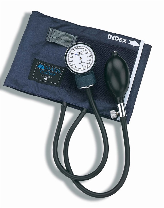 <p><strong><span style="font-family: Arial">sphygmomanometer</span></strong></p>