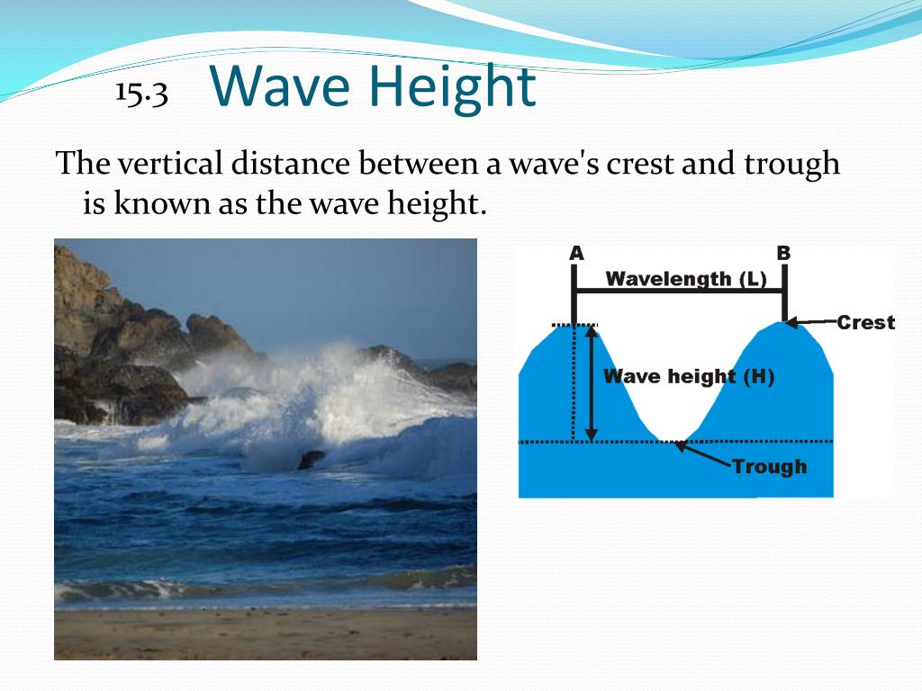 <p>The distance between the crest and the trough&nbsp;</p>