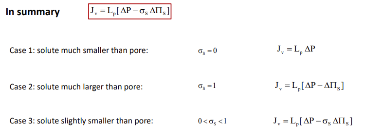 <ul><li><p><strong>Case 1: Solute is very small compared to the pore</strong></p><p>No contribution to osmotic pressure, delta s=0.</p></li><li><p><strong>Case 2: Solute is much larger than pore</strong></p><p>Membrane is impermeable to solute, sigma s=1.</p></li><li><p><strong>Case 3: Solute is slightly smaller than pore</strong></p><p>Partial exclusion from the pore 0&lt;sigma s&lt;1</p></li></ul><p></p>
