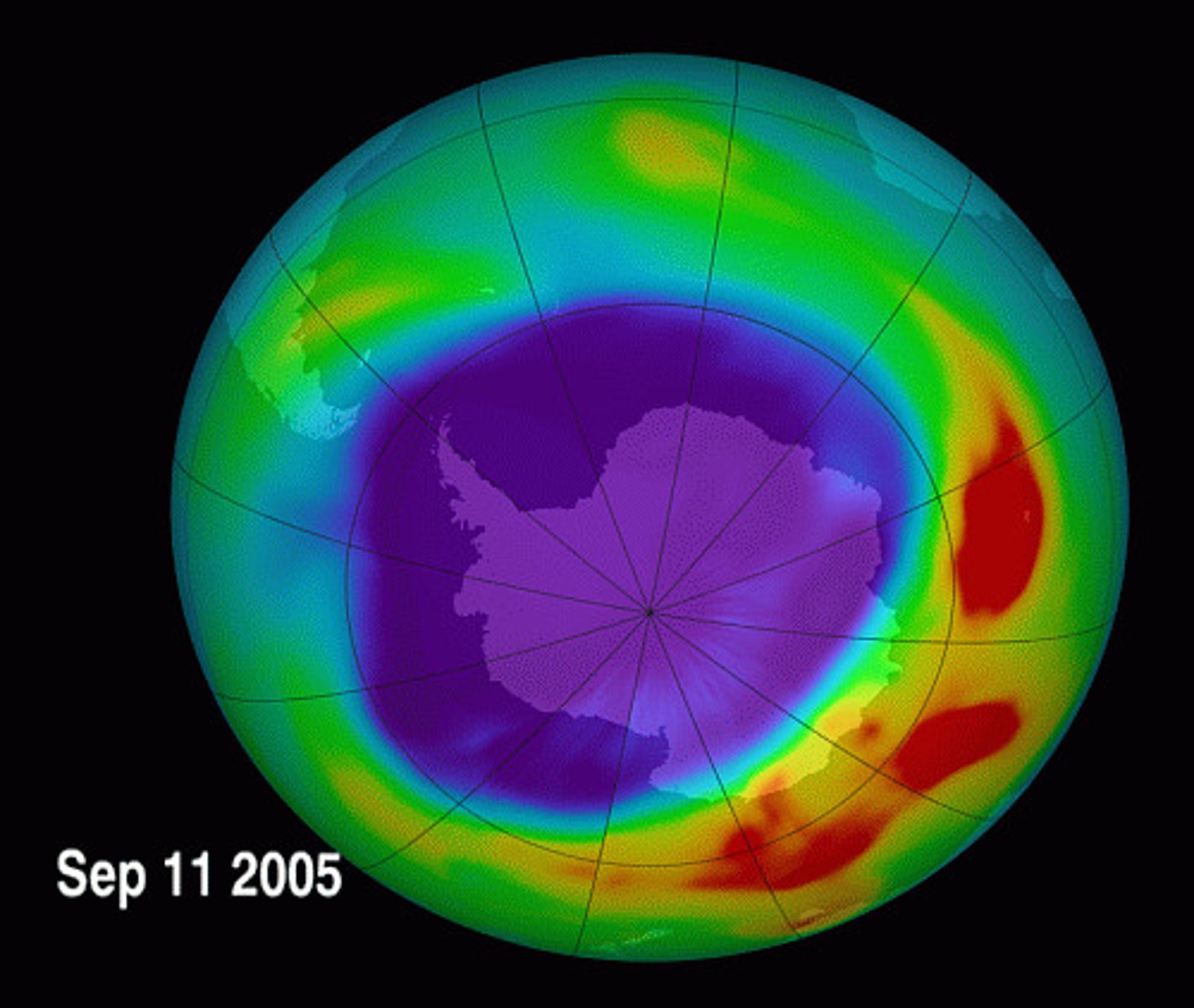 <p>ozone layer</p>