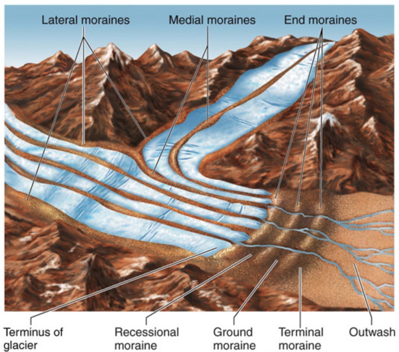 <p>Glacial moraines are accumulations of rock/debris at the edges, or within, a glacier</p><p>sediment in moraines are often angular, highlighting they weren’t transported by rivers</p>