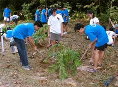 Human action, natural processes