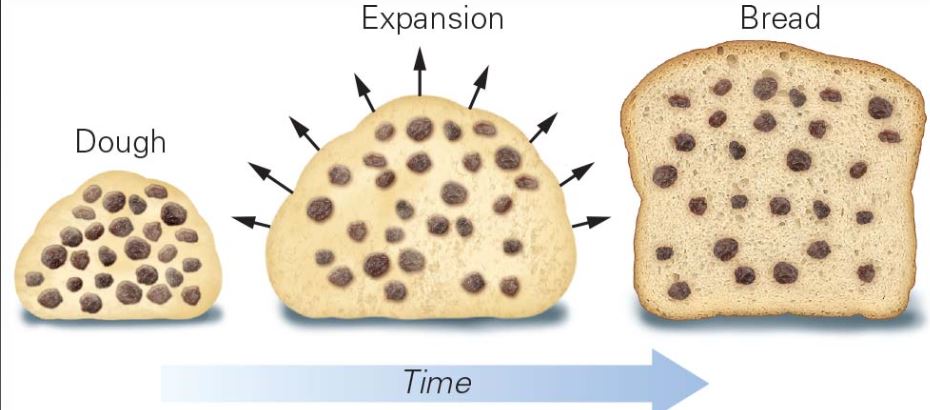 <p>The universe is expanding because galaxies seem to be moving further away from us.  (raisin bread analogy)</p>